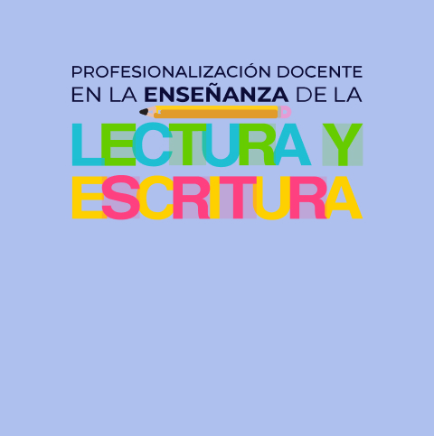 Profesionalizaci&oacute;n docente de la ensenanza